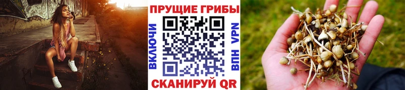 Псилоцибиновые грибы Magic Shrooms  цены   Чебоксары 