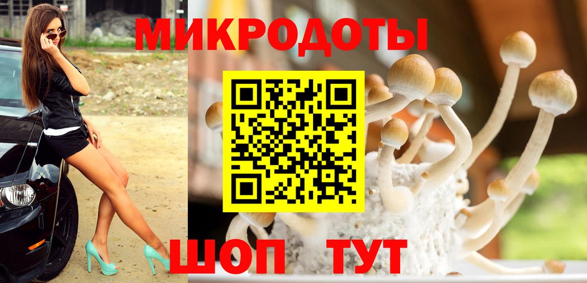 Чебоксары  Галлюциногенные грибы Psilocybe  Вход с VPN 