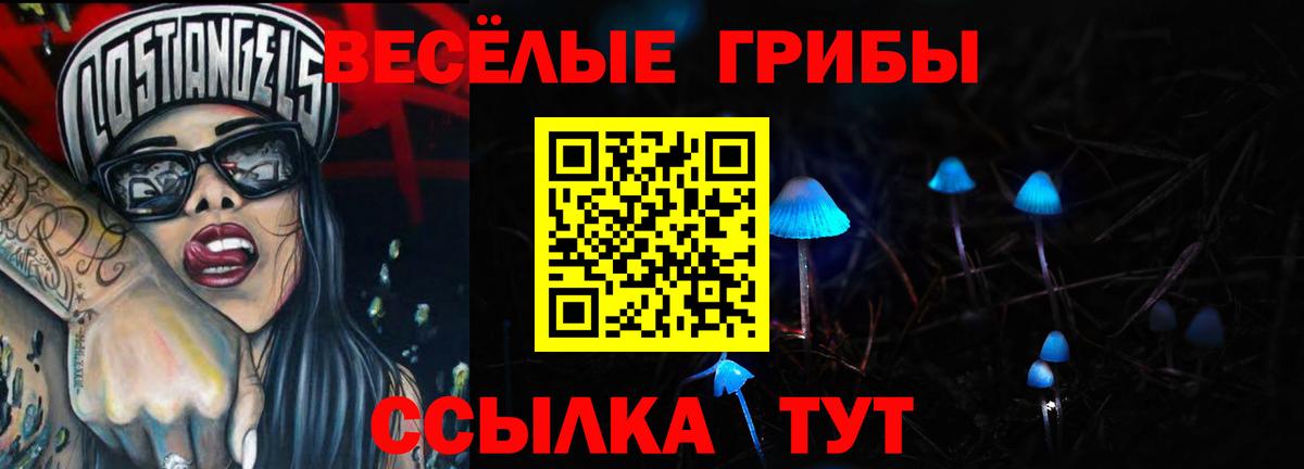 Псилоцибиновые грибы ЛСД Чебоксары