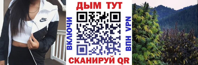 Бошки марихуана MAZAR Чебоксары